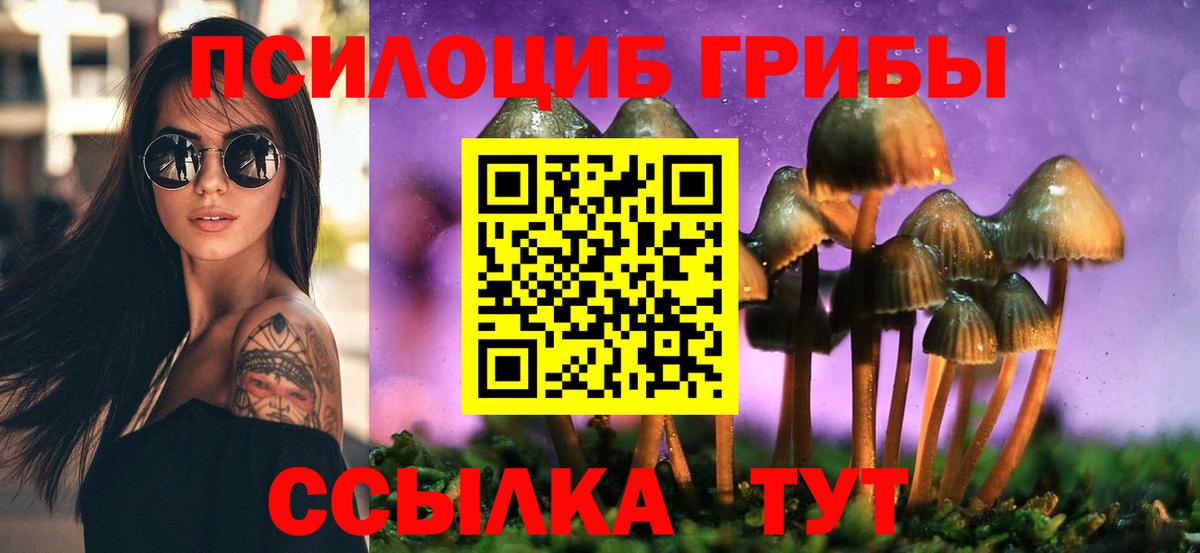Кемерово  Псилоцибиновые грибы мухоморы  Вход с VPN 