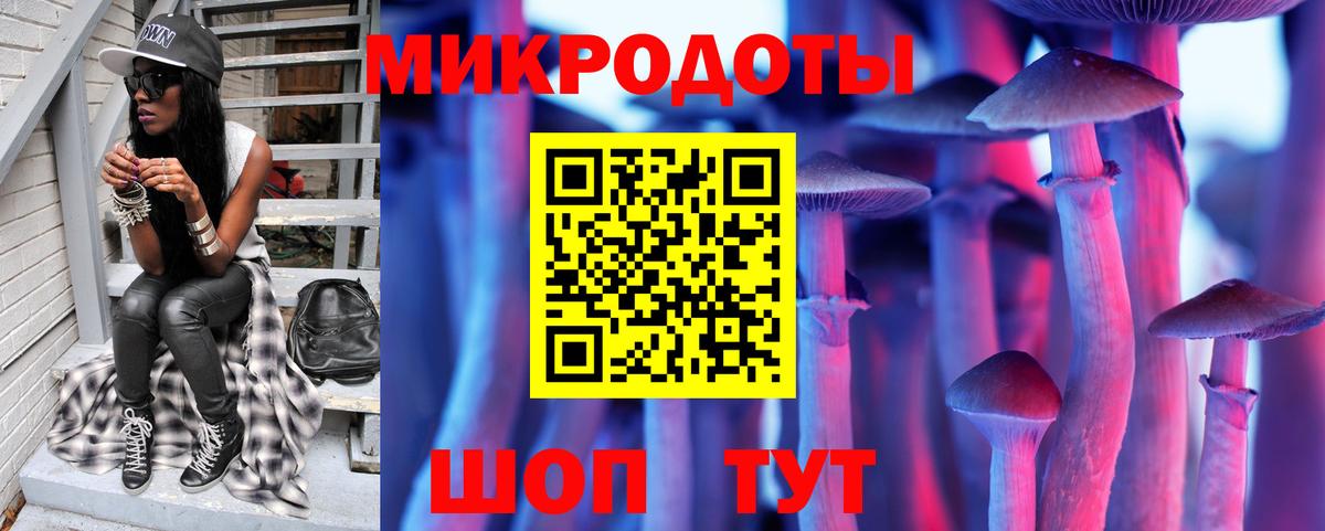 Псилоцибиновые грибы Psilocybine cubensis Кемерово